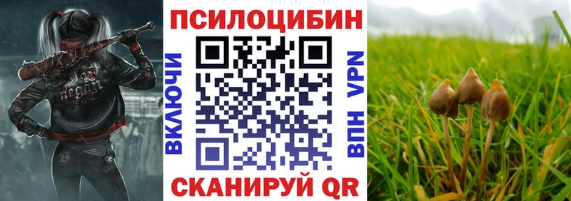 купить закладку  Азов  Галлюциногенные грибы прущие грибы 