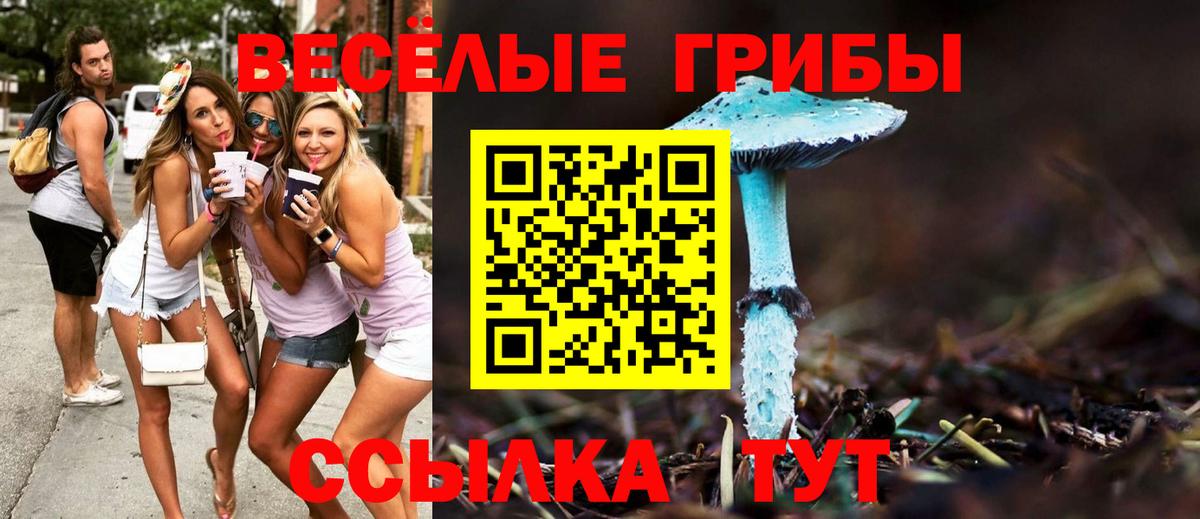 Псилоцибиновые грибы ЛСД Азов