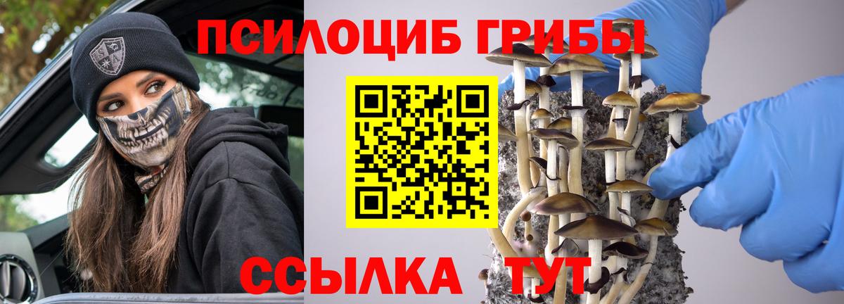 Галлюциногенные грибы Psilocybine cubensis Азов