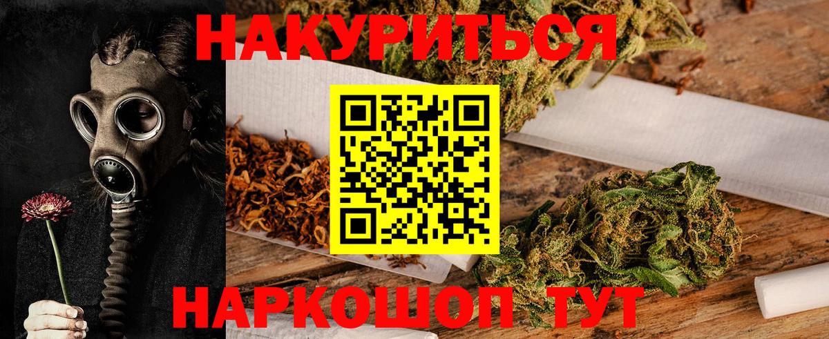 Каннабис планчик  Марихуана гибрид  Азов  Конопля планчик 